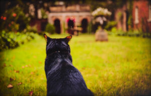 MinEnghauser_edgar-ponders-edgar