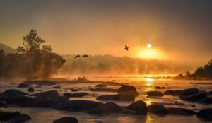 Scott Adams – Pony Pasture Ducks – 17×25 $195